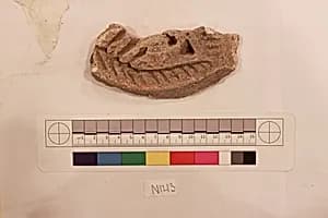 Stucco Fragment by Unknown Artist