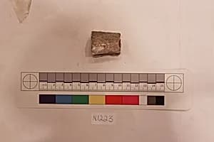 Stucco Fragment by Unknown Artist