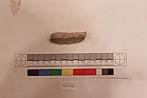 Stucco Fragment by Unknown Artist