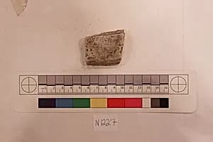 Stucco Fragment by Unknown Artist