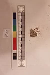 Stucco Fragment by Unknown Artist