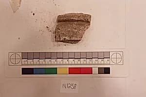 Stucco Fragment by Unknown Artist