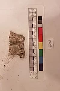 Stucco Fragment by Unknown Artist