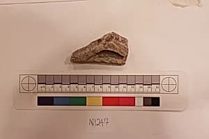 Stucco Fragment by Unknown Artist