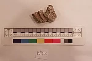Stucco Fragment by Unknown Artist