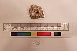 Stucco Fragment by Unknown Artist