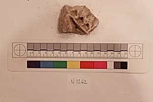 Stucco Fragment by Unknown Artist