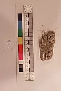 Stucco Fragment by Unknown Artist