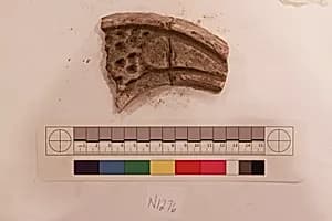 Stucco Fragment by Unknown Artist