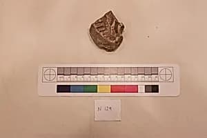 Stucco Fragment by Unknown Artist