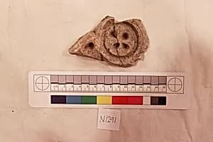 Stucco Fragment by Unknown Artist