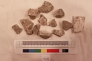 Stucco Fragment by Unknown Artist