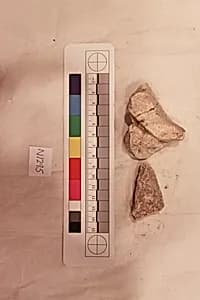 Stucco Fragment by Unknown Artist