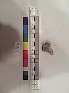 Stucco Fragment by Unknown Artist