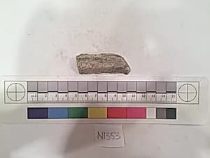 Stucco Fragment by Unknown Artist