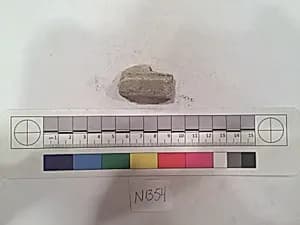 Stucco Fragment by Unknown Artist