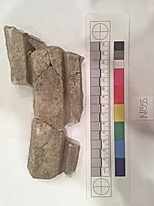 Stucco Fragment by Unknown Artist
