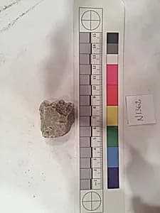Stucco Fragment by Unknown Artist