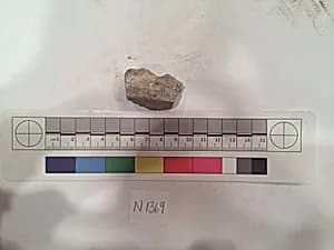 Stucco Fragment by Unknown Artist