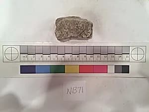 Stucco Fragment by Unknown Artist