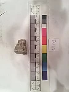 Stucco Fragment by Unknown Artist