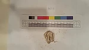 Stucco Fragment by Unknown Artist