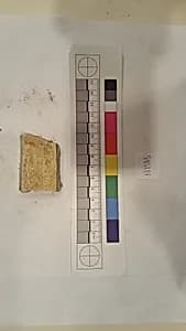 Stucco Fragment by Unknown Artist