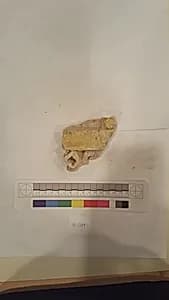 Stucco Fragment by Unknown Artist