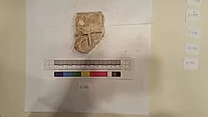 Stucco Fragment by Unknown Artist