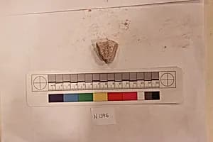Stucco Fragment by Unknown Artist