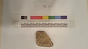Stucco Fragment by Unknown Artist