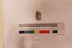 Stucco Fragment by Unknown Artist