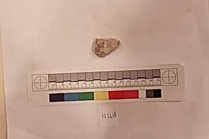 Stucco Fragment by Unknown Artist