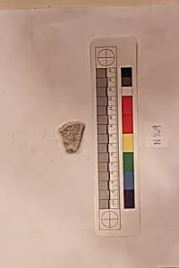 Stucco Fragment by Unknown Artist