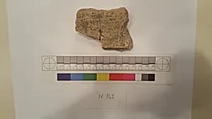 Stucco Fragment by Unknown Artist