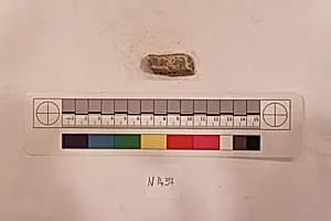 Stucco Fragment by Unknown Artist