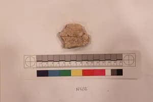 Stucco Fragment by Unknown Artist