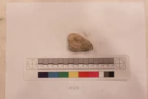 Stucco Fragment by Unknown Artist