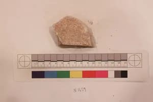 Stucco Fragment by Unknown Artist