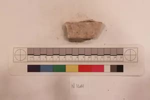 Stucco Fragment by Unknown Artist
