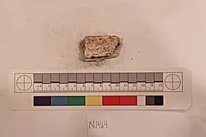 Stucco Fragment by Unknown Artist
