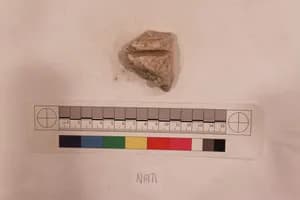 Stucco Fragment by Unknown Artist