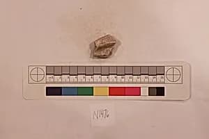 Stucco Fragment by Unknown Artist