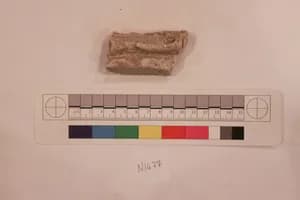 Stucco Fragment by Unknown Artist