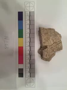 Stucco Fragment by Unknown Artist
