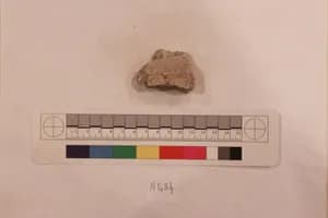 Stucco Fragment by Unknown Artist