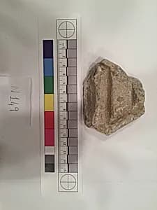 Stucco Fragment by Unknown Artist