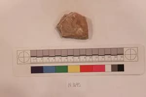 Stucco Fragment by Unknown Artist