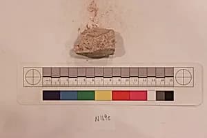 Stucco Fragment by Unknown Artist