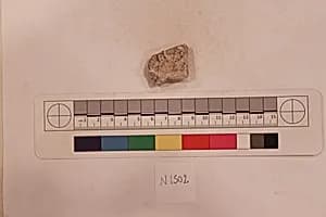 Stucco Fragment by Unknown Artist